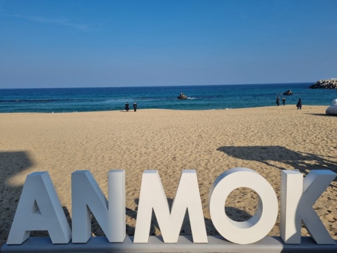 [강릉] 펩시카페, 안목살롱